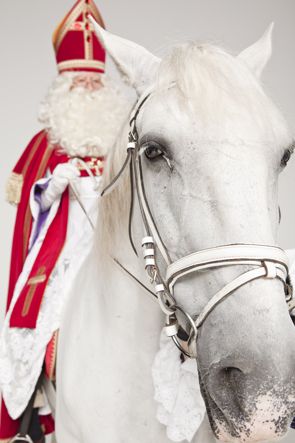 Broederschap Extremisten Broers en zussen Het Paard van Sinterklaas - Partyfun